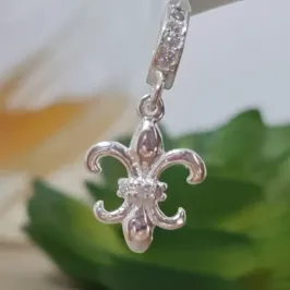 BER FLOR DE LIS