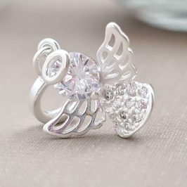 BER anjo