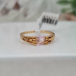 ANEL 2900