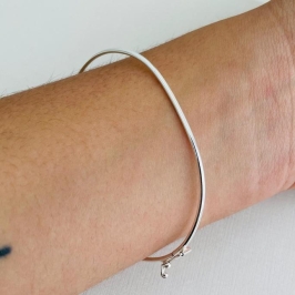 BRAC 1060