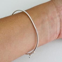 BRAC 1270